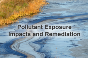 Pollutant exposure impacts and remediation
